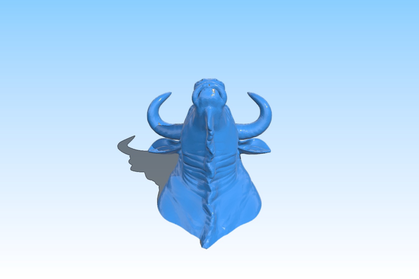 Wild bull – head