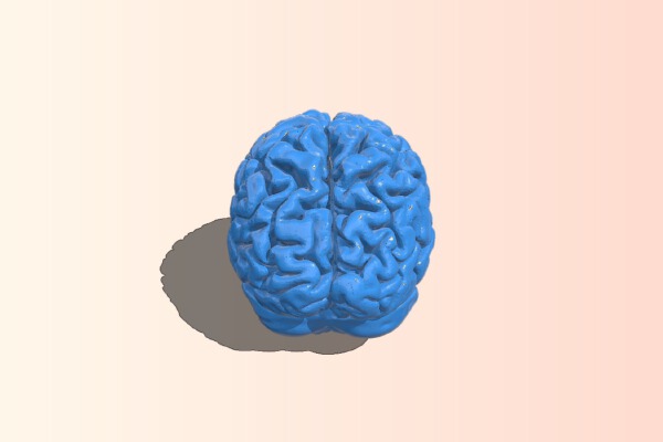 Human brain model form good MRI | 3d print model