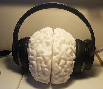 Human Brain Headphones Stand