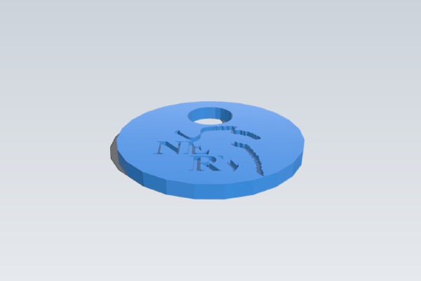 NERV KEY RING TAG | 3d print model