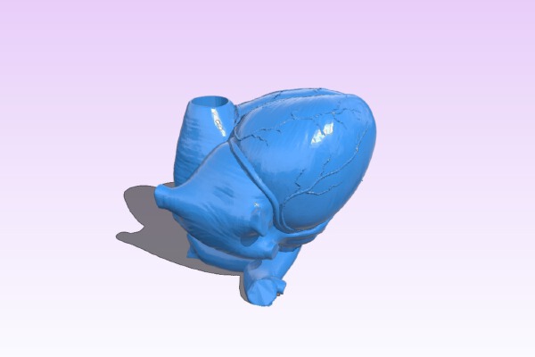Heart Pen Holder | 3d print model