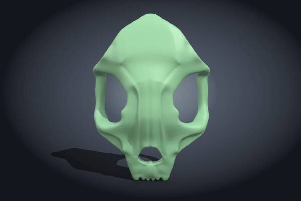 Skull | 3d print model