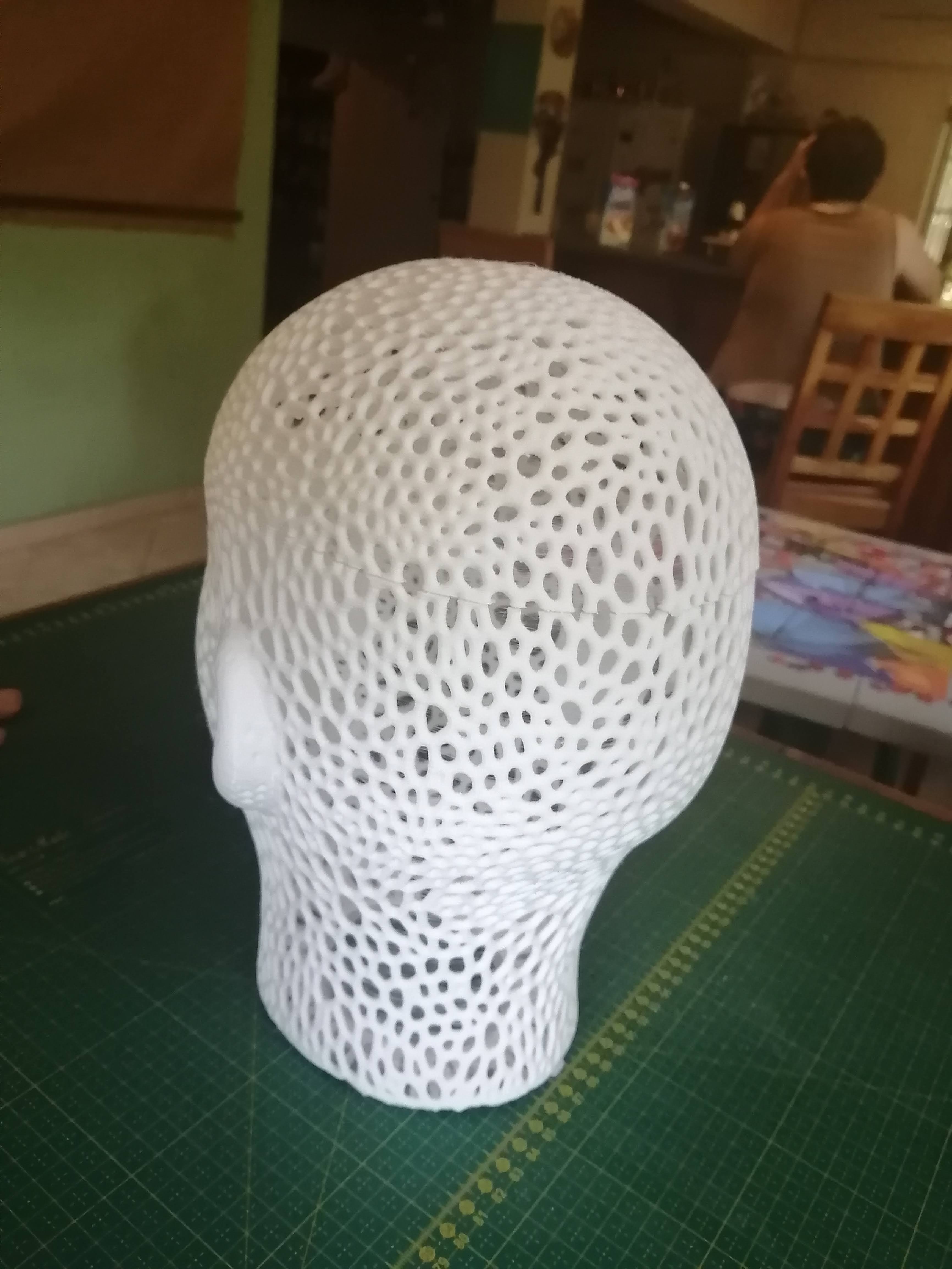 Full Sized Voronoi Head