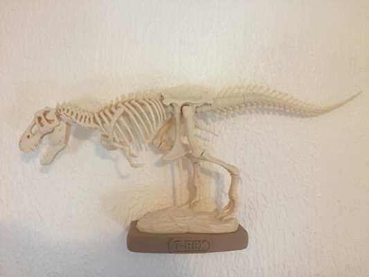 T-Rex Shelf | 3d print model