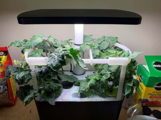Plants Support for Aerogarden Harvest (2018 edition) | 3d print model