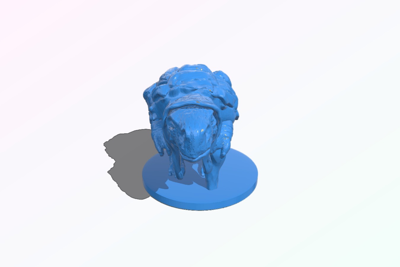 Tortle With Base