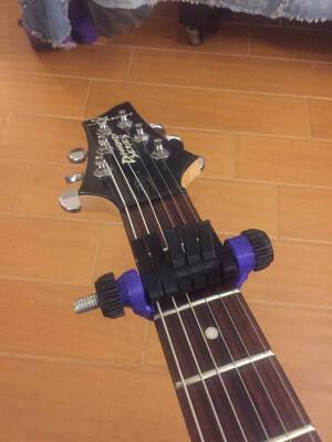 Spider Capo | 3d print model
