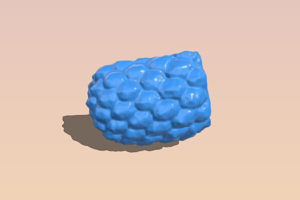 The Pineapple-Half | 3d print model