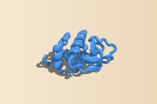Lysozyme enzyme | 3d print model