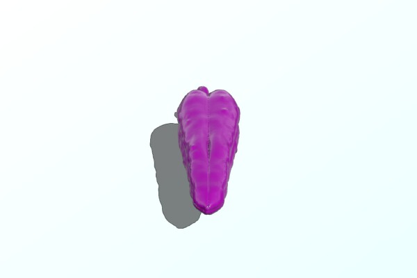 Odd Pepper | 3d print model
