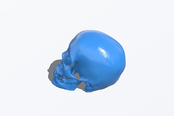 Human skull | 3d print model