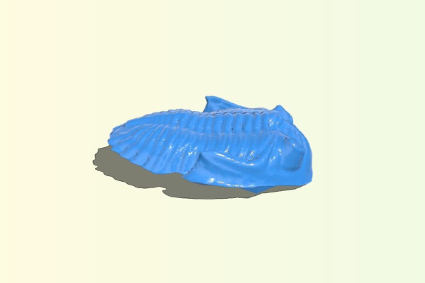 Dual extruder Trilobite. | 3d print model