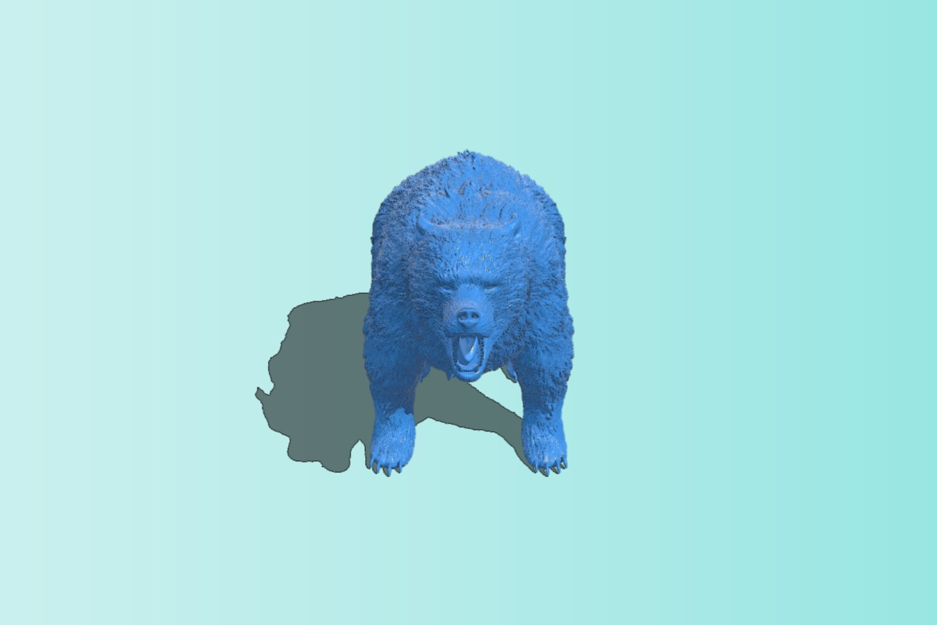 Black Bear