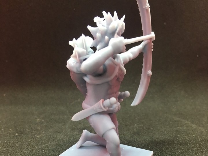 Wood Elf Ranger