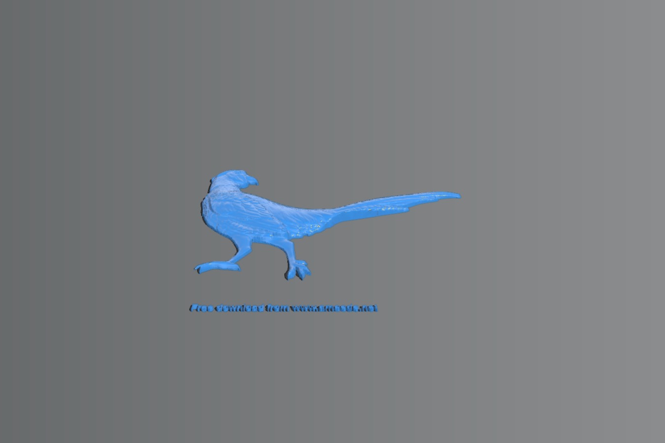 Pheasant