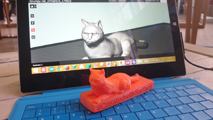 Grumpy Cat | 3d print model