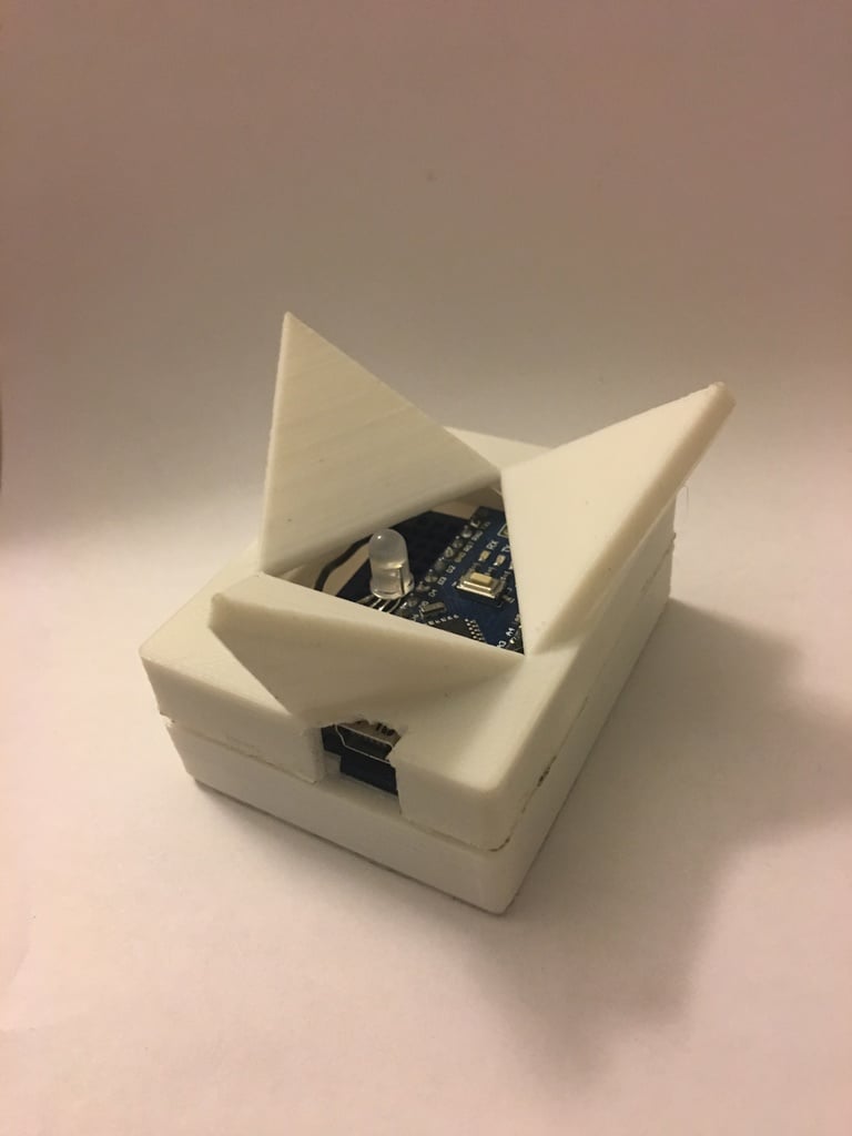 Large D20 Holder