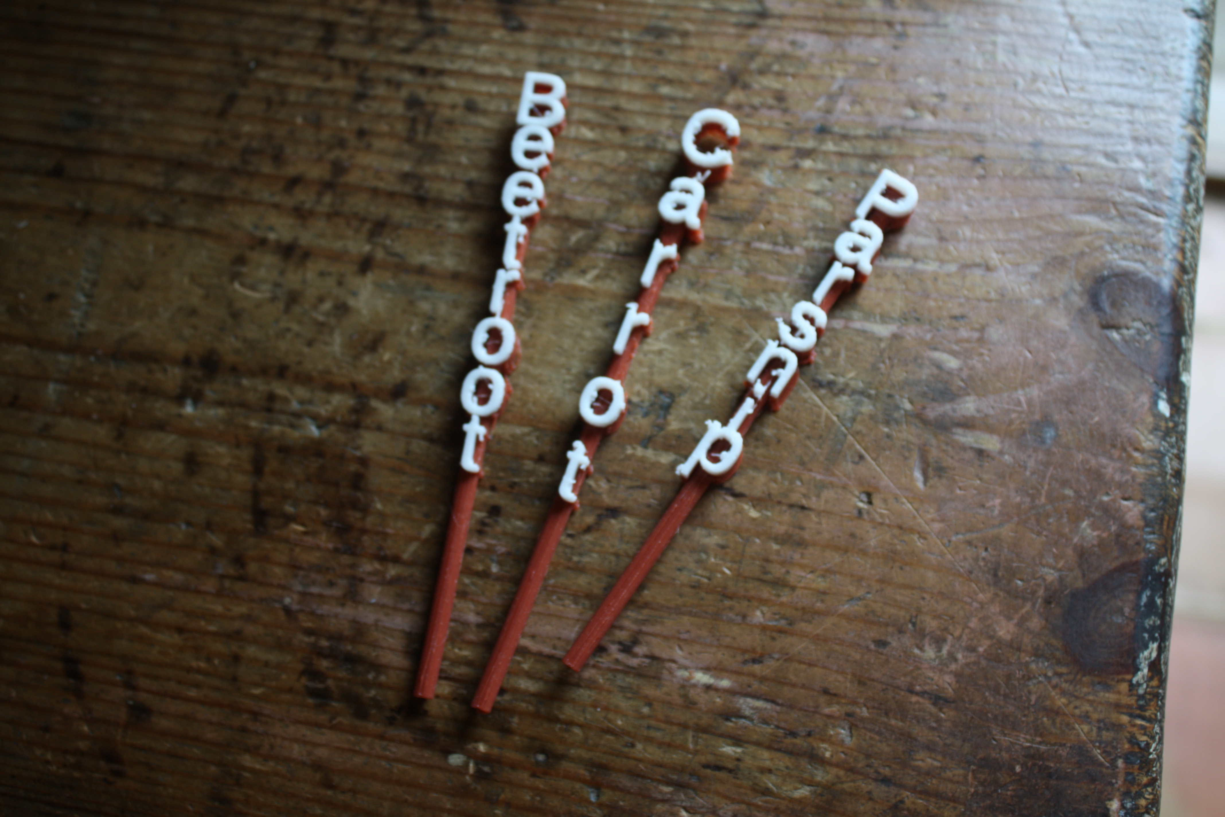 OpenScad Plant Labels customisable text on a stick - Beetroot, Parsnip, Carrot