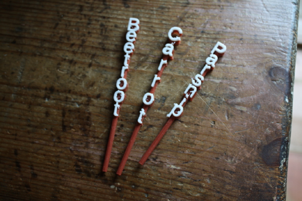 OpenScad Plant Labels customisable text on a stick - Beetroot, Parsnip, Carrot | 3d print model