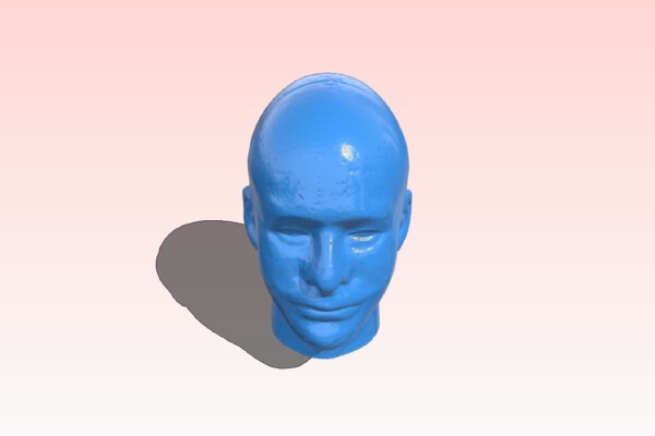 Styrofoam Mannequin Head - Male | 3d print model