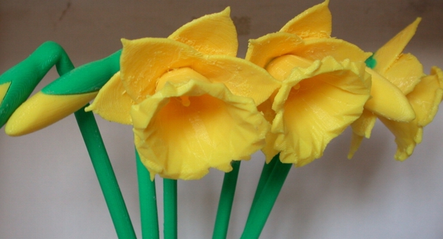 Digital Daffodils