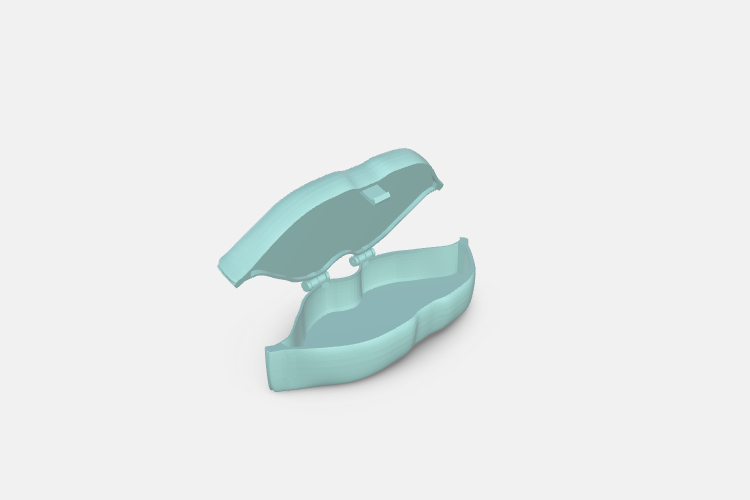 lispstick Case