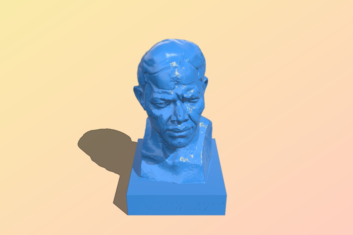 Nelson Mandela Bust