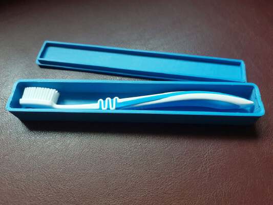 Toothbrush Travel Case | 3d print model