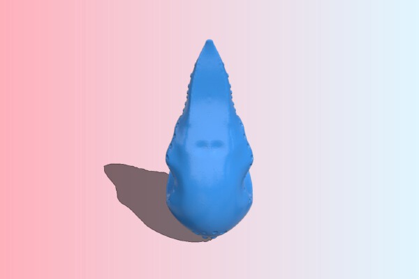 Raven skull | 3d print model