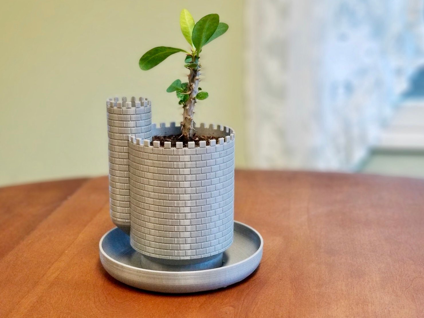 Castle Planter with Moat | 3d print model