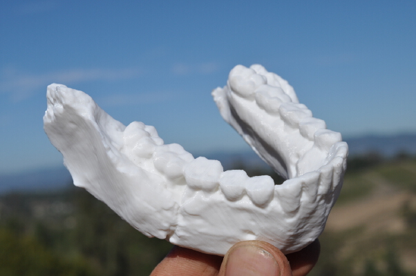 Homo Naledi Jaw from Rising Star Cave | 3d print model
