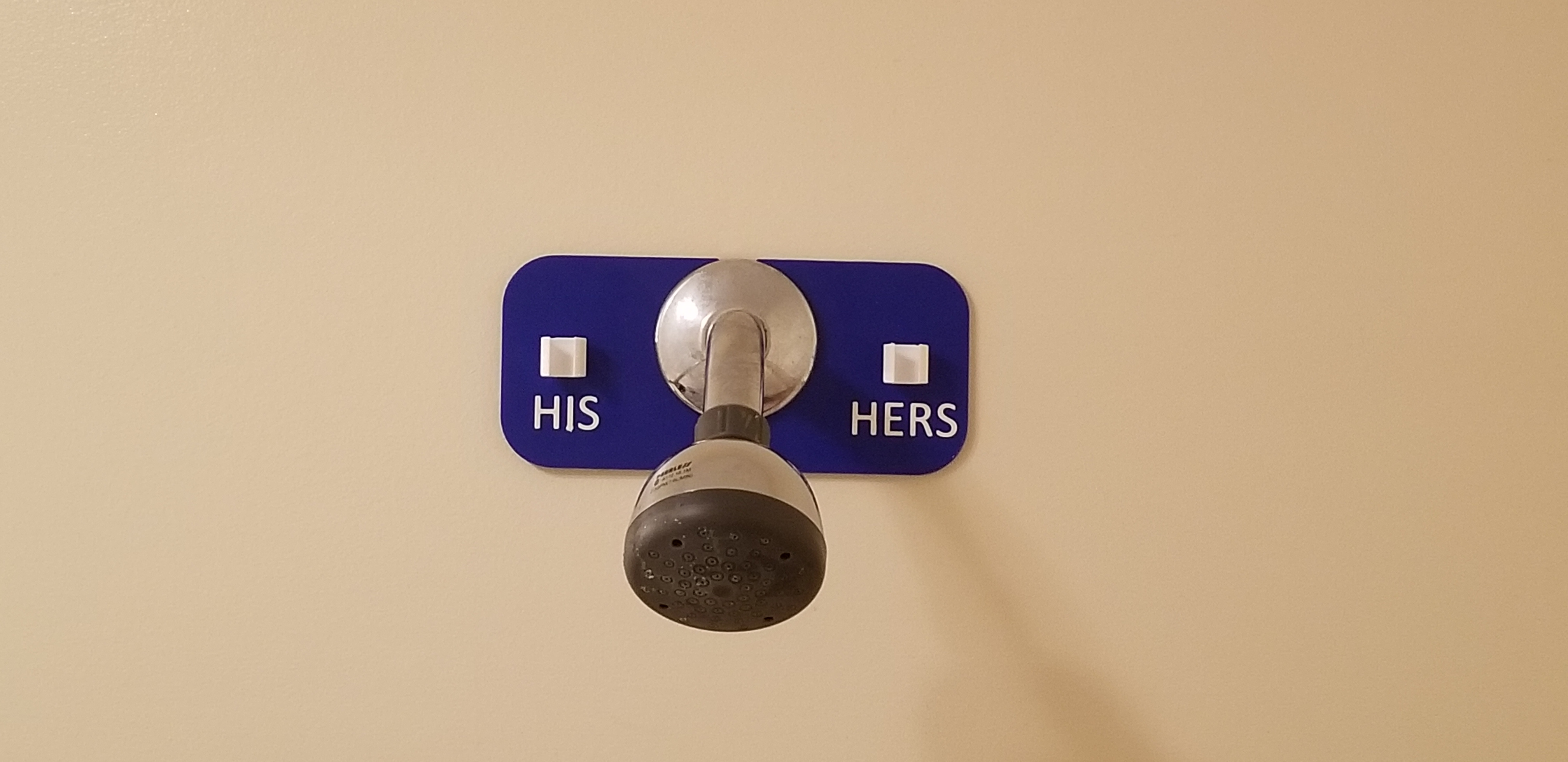Shower Head Toothbrush Holder
