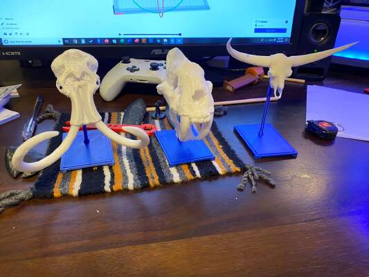 Modified stand for animal skulls (Mammoth skull, Bison latifrons, etc.) | 3d print model