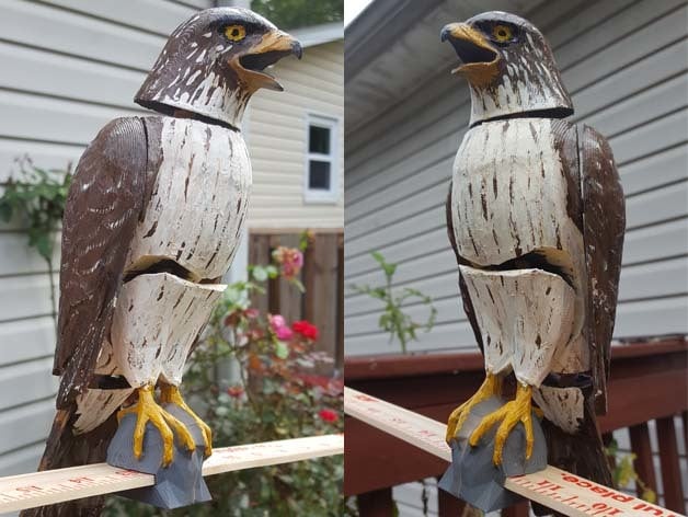 Hawk Decoy with Bobble Motion