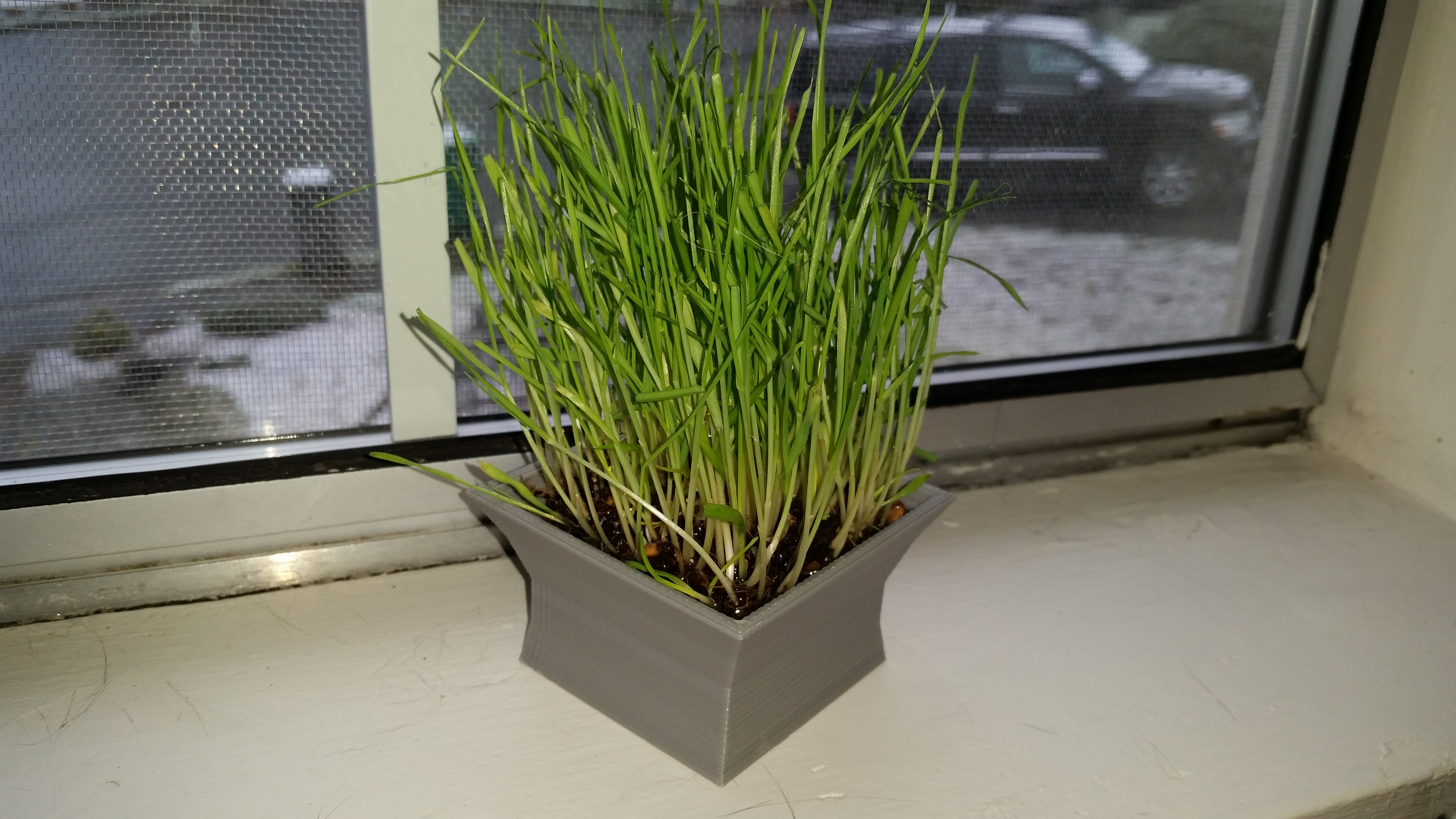 Asian-styled Cat Grass Planter