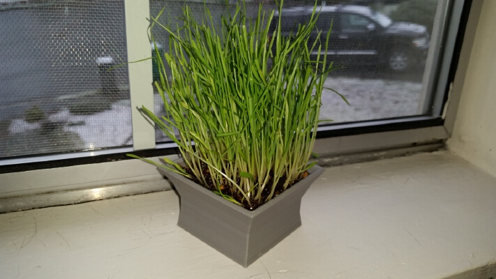 Asian-styled Cat Grass Planter | 3d print model