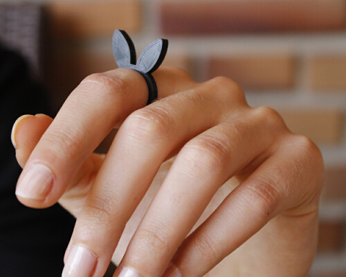 Rabbit ring | 3d print model