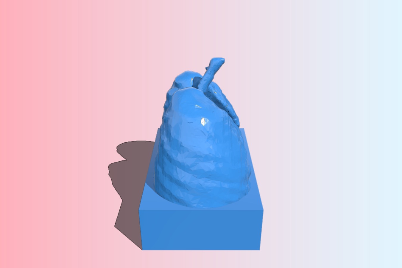 Lung Award