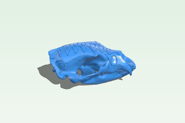 Ornate Bear Skull | 3d print model