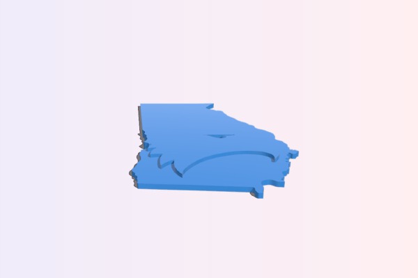 Georgia Southern Eagle Nation | 3d print model
