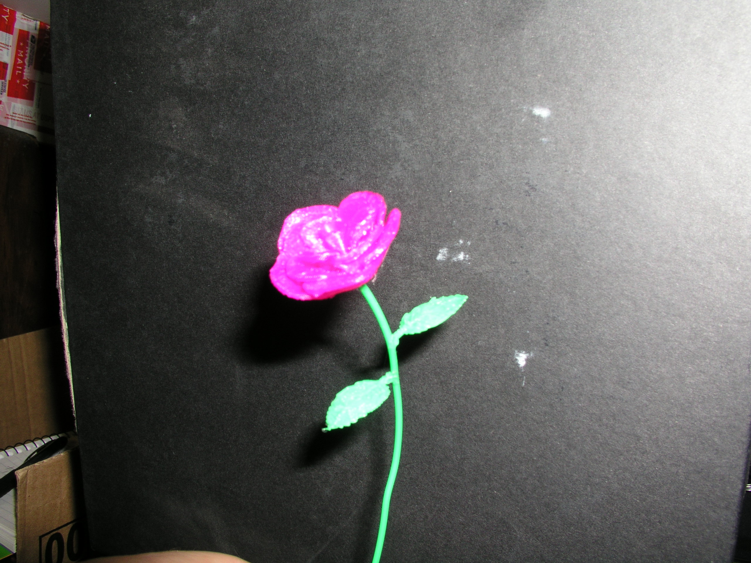 Flower with Leaves