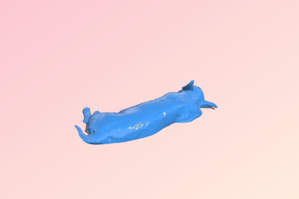 Korbie Corgi Mix | 3d print model