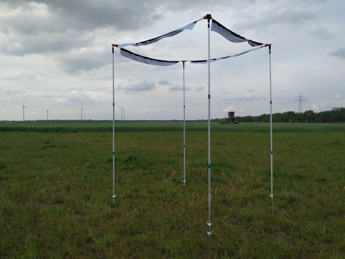 7ac19002-ed47-45e1-9f38-99cc7dba7e12