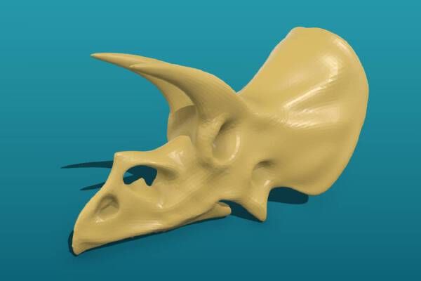 Triceratops_x100_side | 3d print model