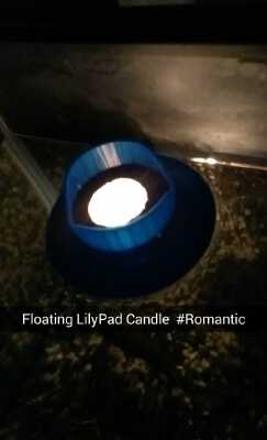 LilyPad Decorative Holder and Buoyancy Test | 3d print model