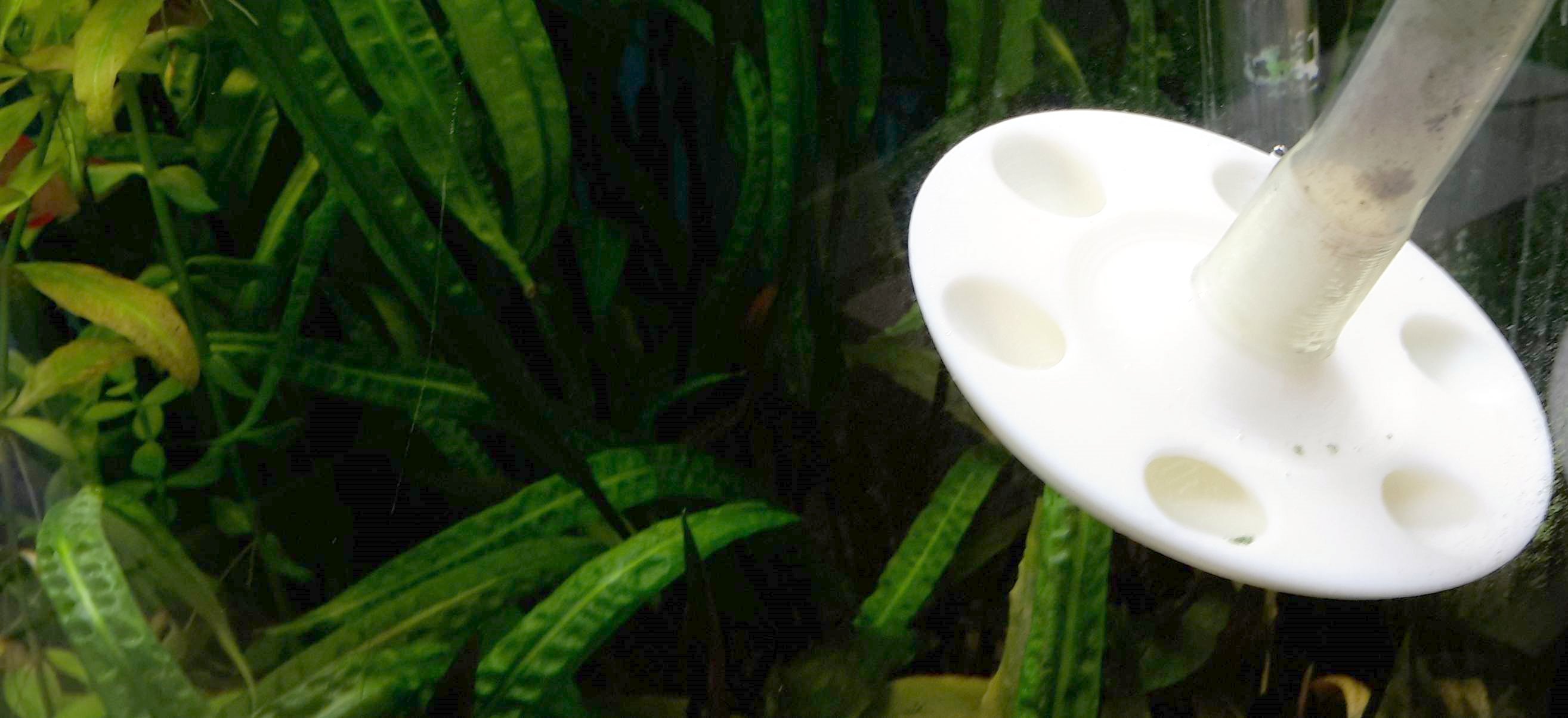 H2O Diffusor fürs Aquarium