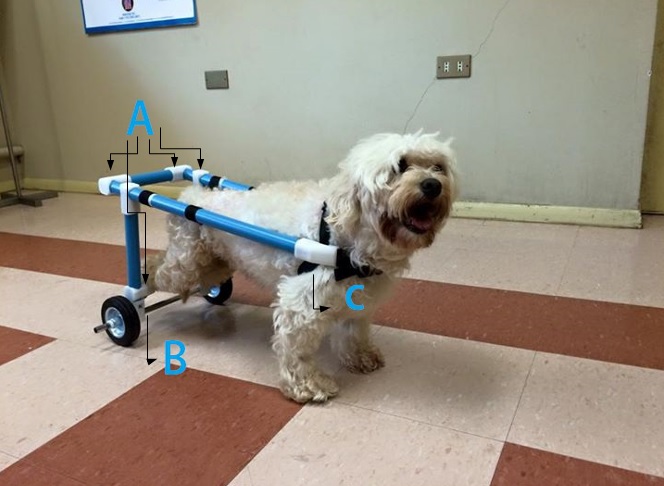 dog wheelchair