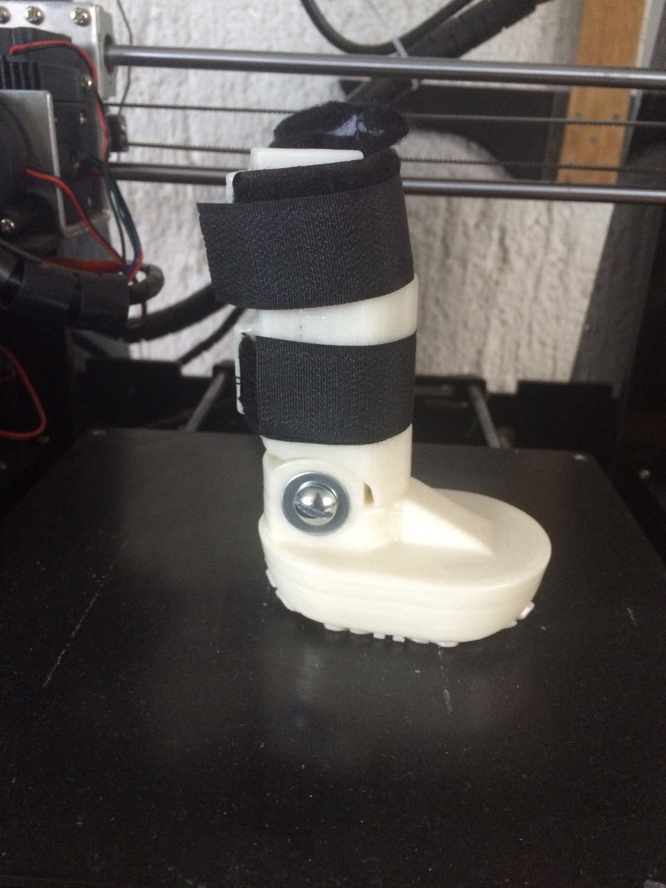 Prosthetic Paw