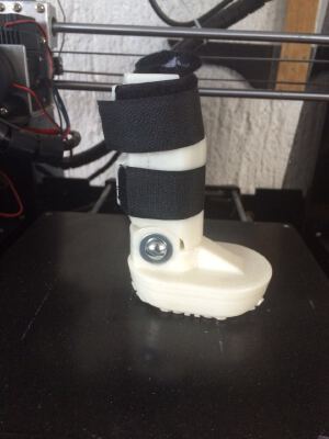 Prosthetic Paw | 3d print model
