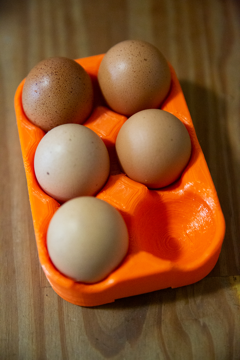 Egg Holder